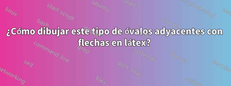 ¿Cómo dibujar este tipo de óvalos adyacentes con flechas en látex?