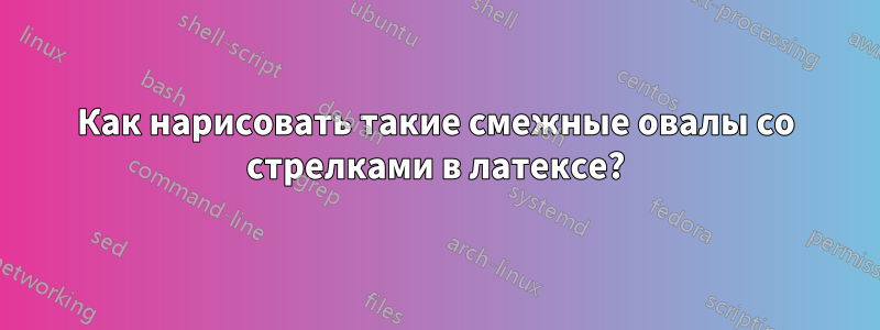 Как нарисовать такие смежные овалы со стрелками в латексе?