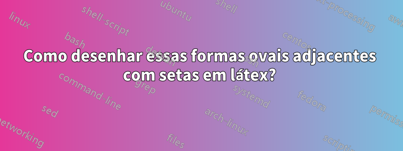 Como desenhar essas formas ovais adjacentes com setas em látex?