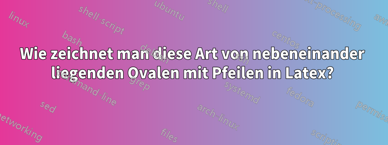 Wie zeichnet man diese Art von nebeneinander liegenden Ovalen mit Pfeilen in Latex?