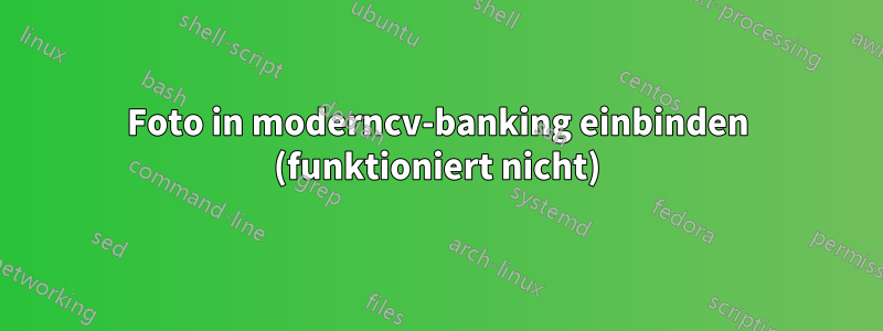 Foto in moderncv-banking einbinden (funktioniert nicht)