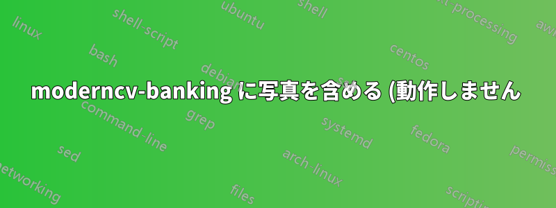 moderncv-banking に写真を含める (動作しません)