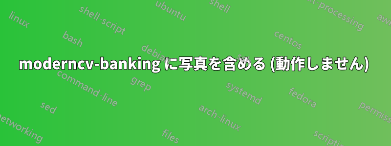 moderncv-banking に写真を含める (動作しません)