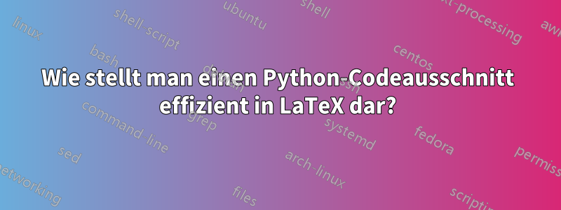 Wie stellt man einen Python-Codeausschnitt effizient in LaTeX dar?