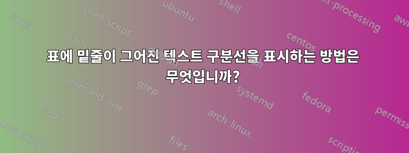 표에 밑줄이 그어진 텍스트 구분선을 표시하는 방법은 무엇입니까?