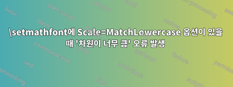 \setmathfont에 Scale=MatchLowercase 옵션이 있을 때 '차원이 너무 큼' 오류 발생