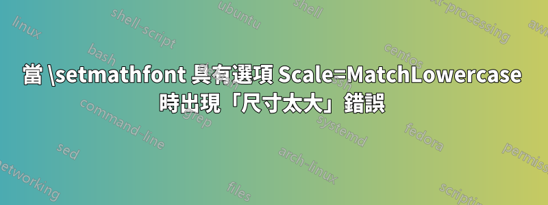 當 \setmathfont 具有選項 Scale=MatchLowercase 時出現「尺寸太大」錯誤