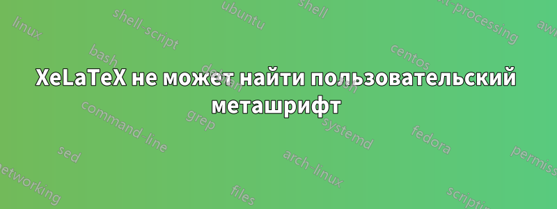 XeLaTeX не может найти пользовательский меташрифт