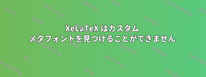 XeLaTeX はカスタム メタフォントを見つけることができません