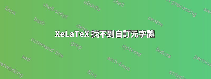 XeLaTeX 找不到自訂元字體