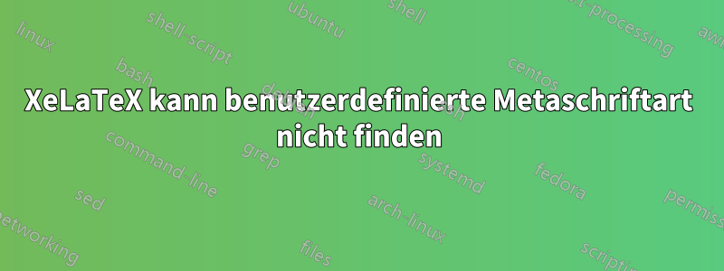 XeLaTeX kann benutzerdefinierte Metaschriftart nicht finden