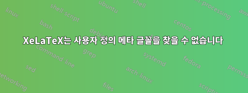 XeLaTeX는 사용자 정의 메타 글꼴을 찾을 수 없습니다