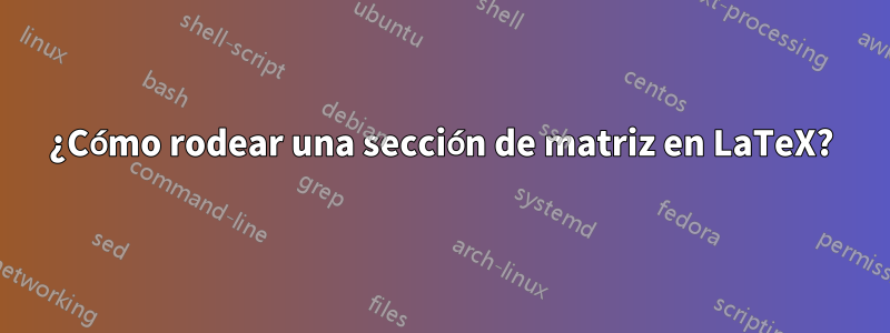 ¿Cómo rodear una sección de matriz en LaTeX?