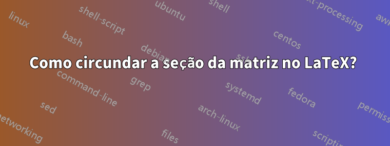 Como circundar a seção da matriz no LaTeX?