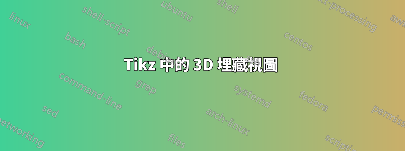 Tikz 中的 3D 埋藏視圖