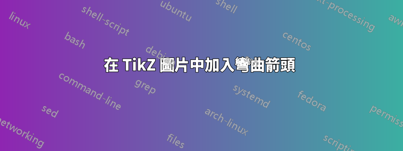 在 TikZ 圖片中加入彎曲箭頭