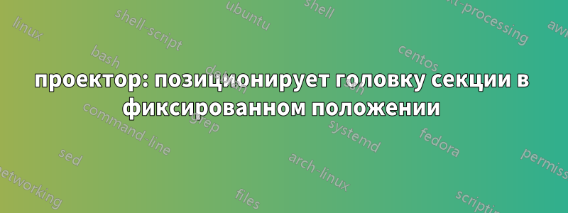 проектор: позиционирует головку секции в фиксированном положении