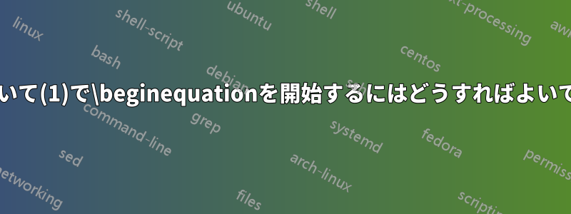 各証明において(1)で\beginequationを開始するにはどうすればよいでしょうか?