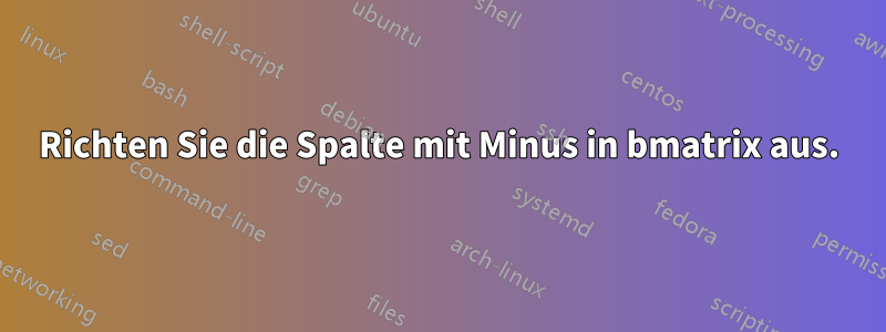 Richten Sie die Spalte mit Minus in bmatrix aus.