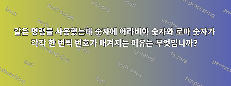 같은 명령을 사용했는데 숫자에 아라비아 숫자와 로마 숫자가 각각 한 번씩 번호가 매겨지는 이유는 무엇입니까?