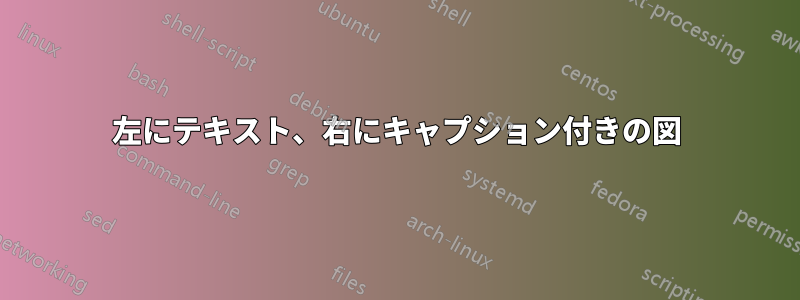 左にテキスト、右にキャプション付きの図