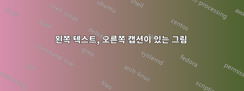 왼쪽 텍스트, 오른쪽 캡션이 있는 그림