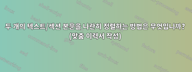 두 개의 텍스트/섹션 본문을 나란히 정렬하는 방법은 무엇입니까? (맞춤 이력서 작성)