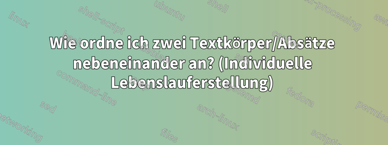 Wie ordne ich zwei Textkörper/Absätze nebeneinander an? (Individuelle Lebenslauferstellung)