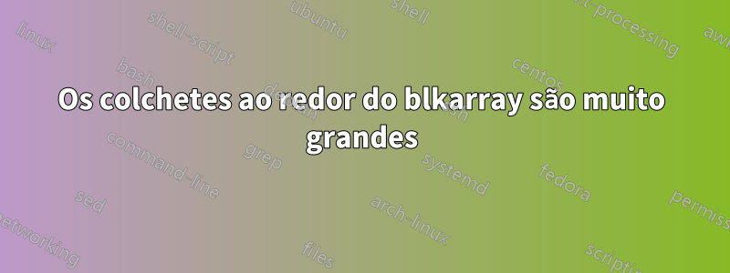 Os colchetes ao redor do blkarray são muito grandes