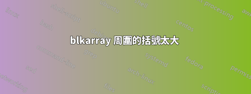 blkarray 周圍的括號太大