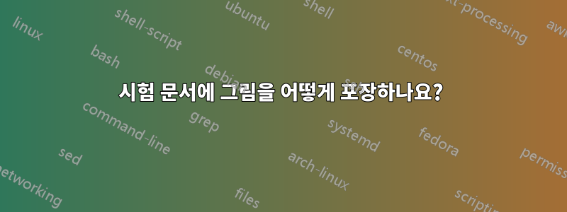 시험 문서에 그림을 어떻게 포장하나요?