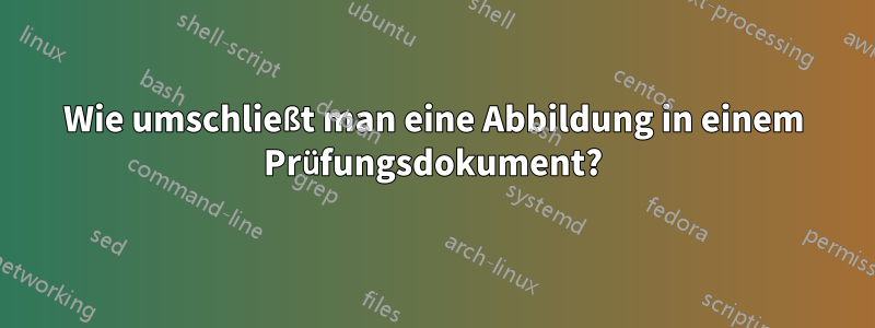 Wie umschließt man eine Abbildung in einem Prüfungsdokument?