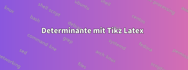 Determinante mit Tikz Latex 