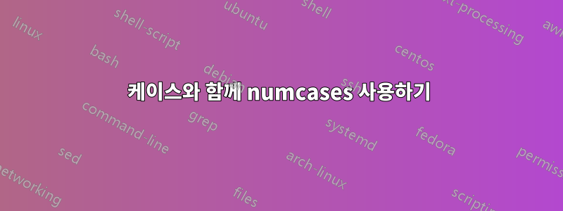 케이스와 함께 numcases 사용하기