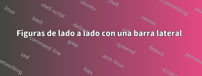 Figuras de lado a lado con una barra lateral 