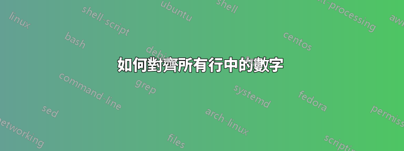 如何對齊所有行中的數字