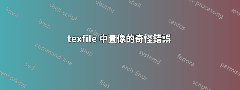 texfile 中圖像的奇怪錯誤