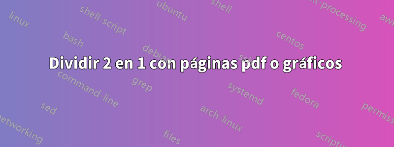 Dividir 2 en 1 con páginas pdf o gráficos