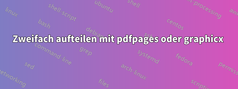 Zweifach aufteilen mit pdfpages oder graphicx