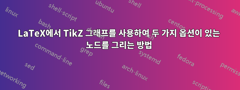 LaTeX에서 TikZ 그래프를 사용하여 두 가지 옵션이 있는 노드를 그리는 방법