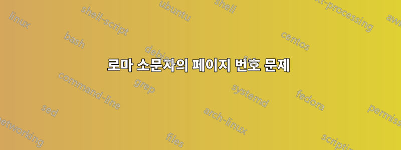 로마 소문자의 페이지 번호 문제