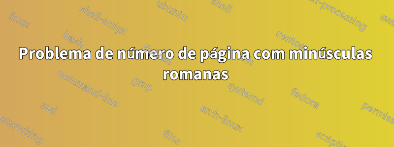 Problema de número de página com minúsculas romanas