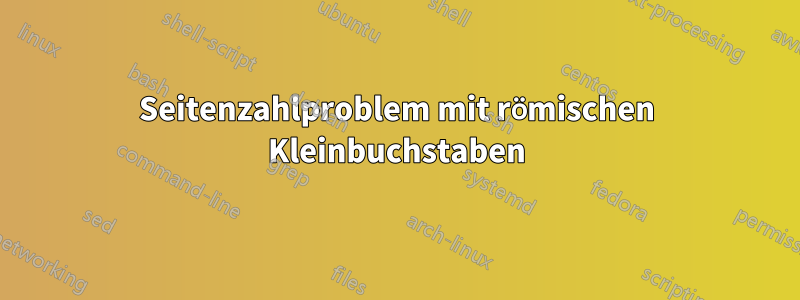 Seitenzahlproblem mit römischen Kleinbuchstaben