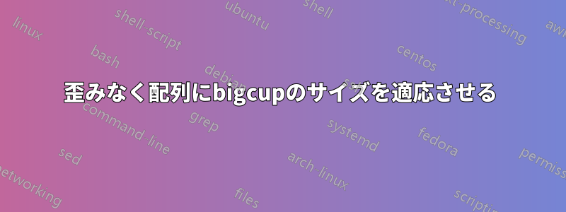 歪みなく配列にbigcupのサイズを適応させる