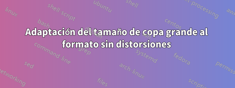 Adaptación del tamaño de copa grande al formato sin distorsiones