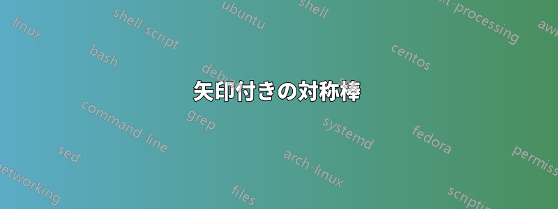 矢印付きの対称棒