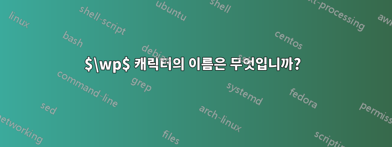 $\wp$ 캐릭터의 이름은 무엇입니까? 