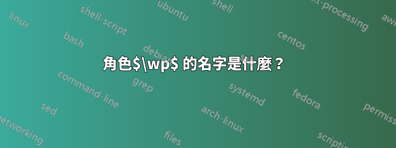 角色$\wp$ 的名字是什麼？ 