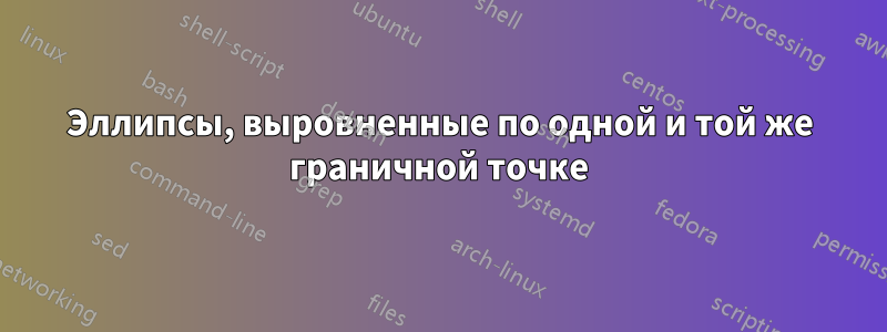 Эллипсы, выровненные по одной и той же граничной точке