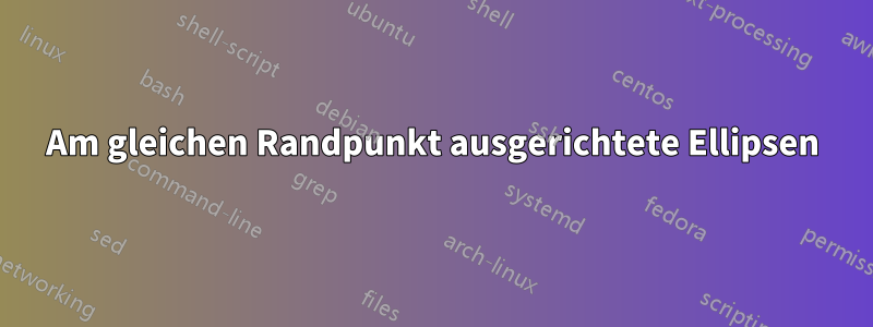 Am gleichen Randpunkt ausgerichtete Ellipsen